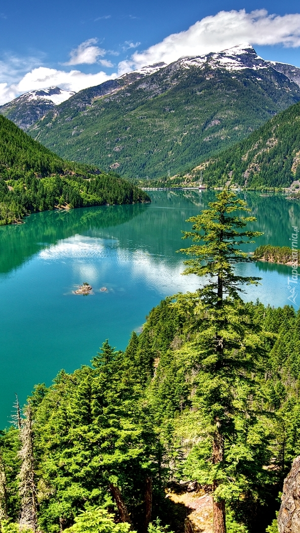 Góry nad jeziorem Diablo Lake