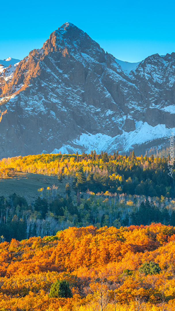 Góry San Juan Mountains i jesienny las