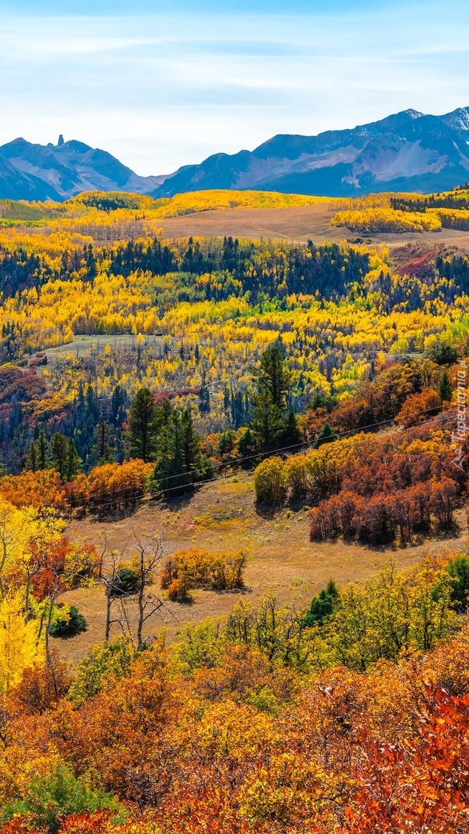 Góry San Juan Mountains i kolorowe drzewa