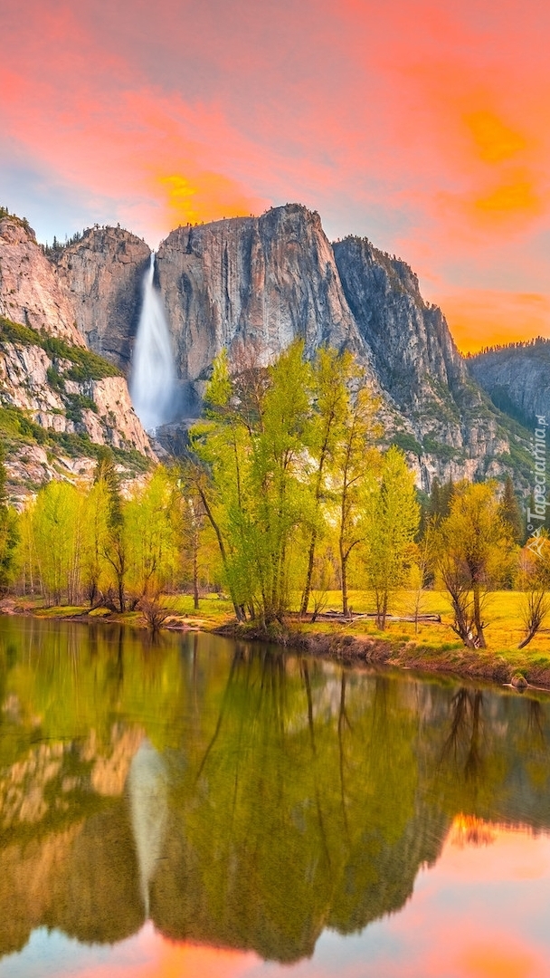 Góry Sierra Nevada i drzewa nad rzeką Merced River