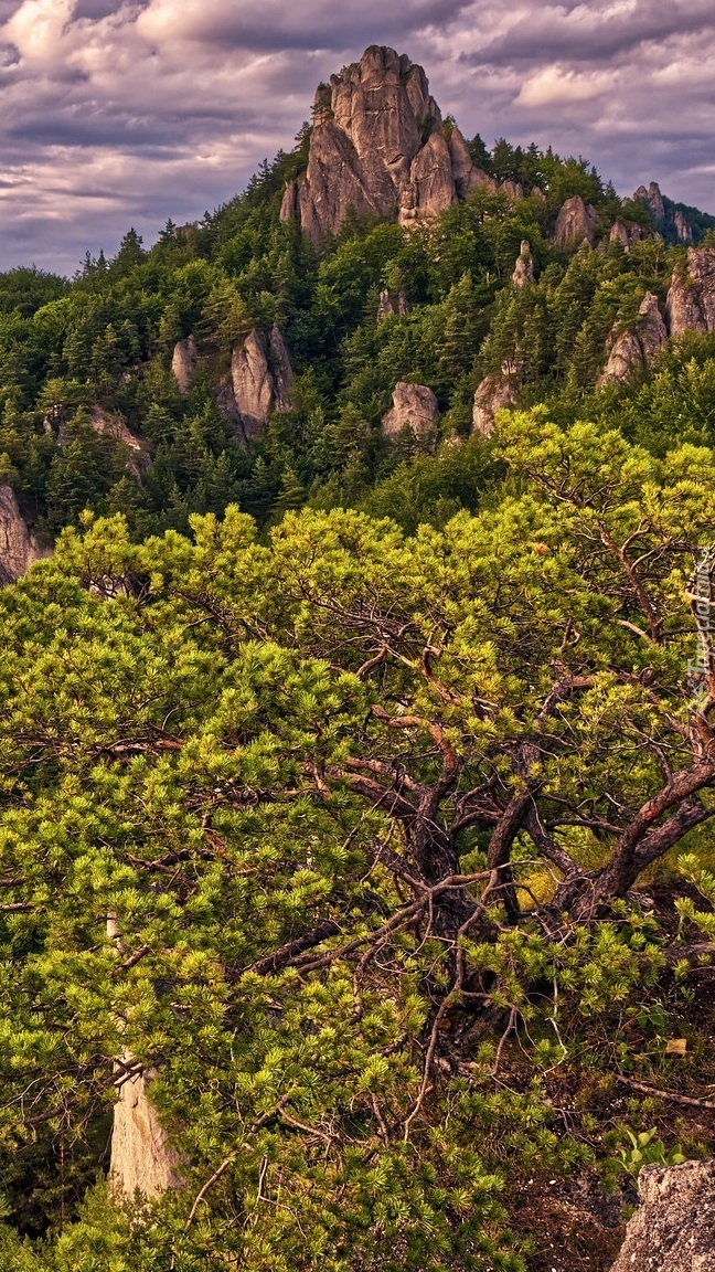 Góry Strażowskie w Słowacji