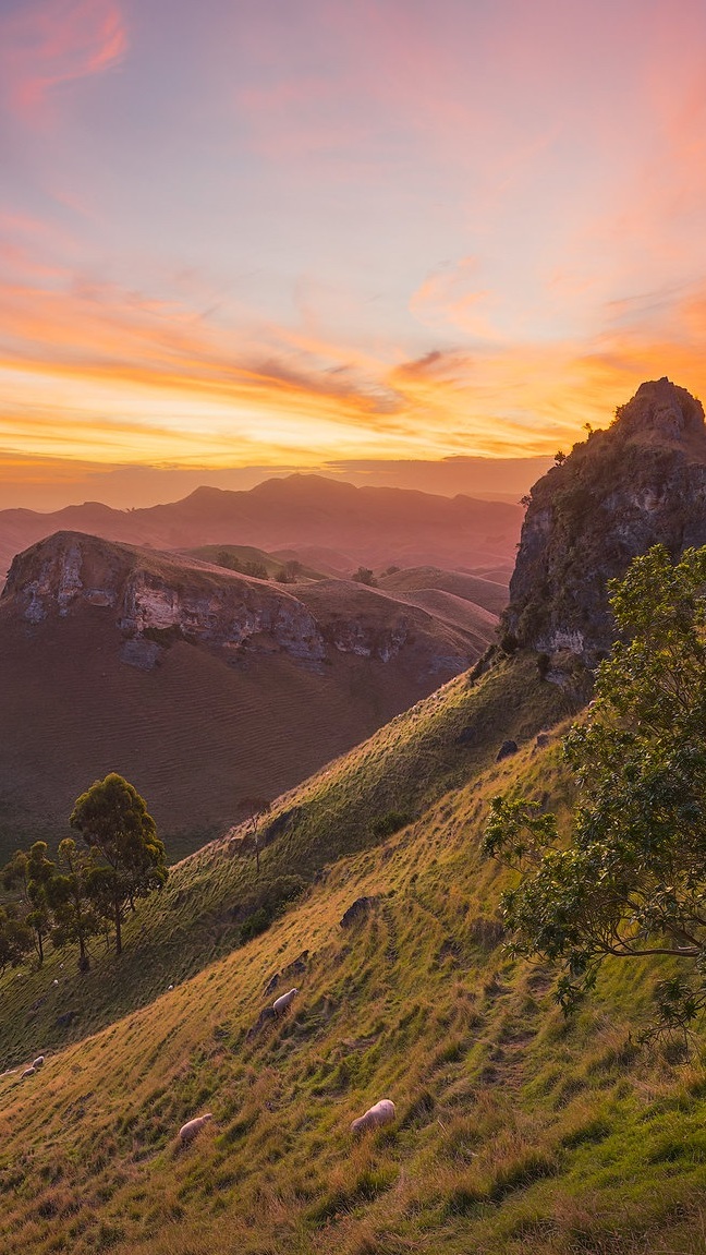 Góry Te Mata Peak w Nowej Zelandii