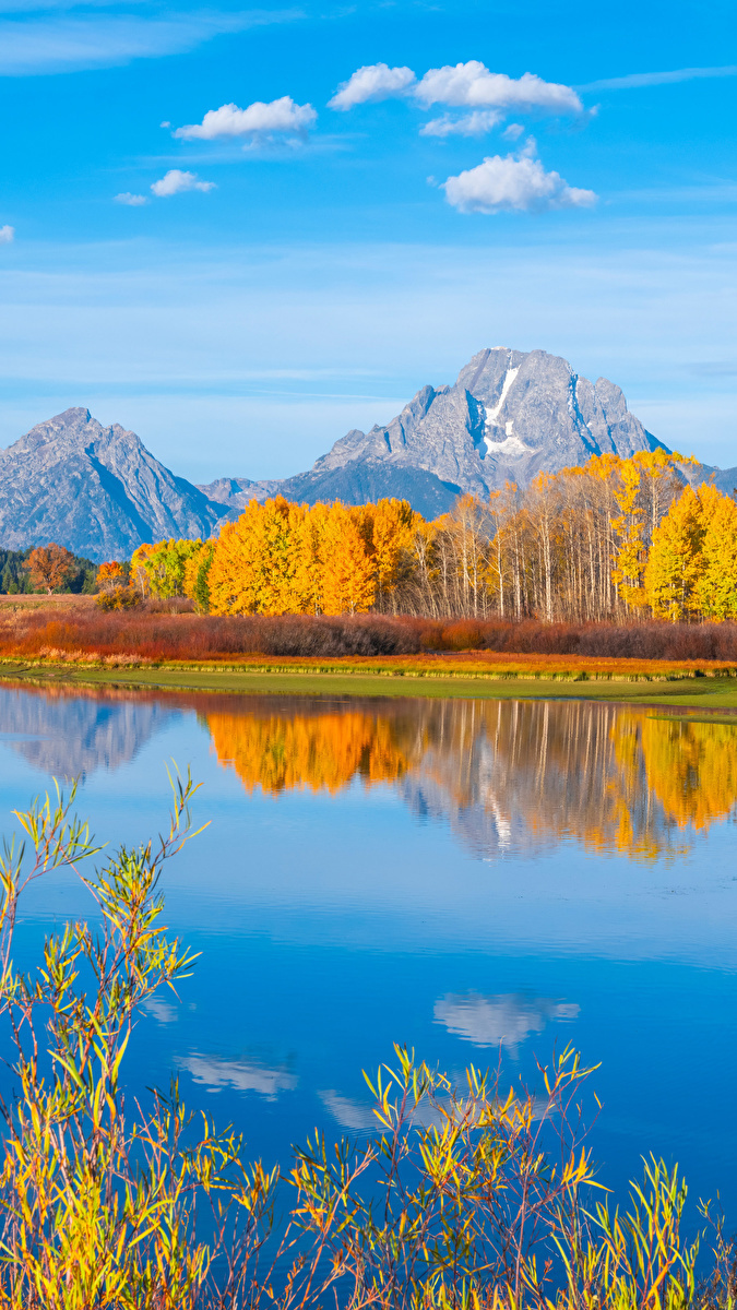 Góry Teton Range i pożółkły las nad rzeką Snake