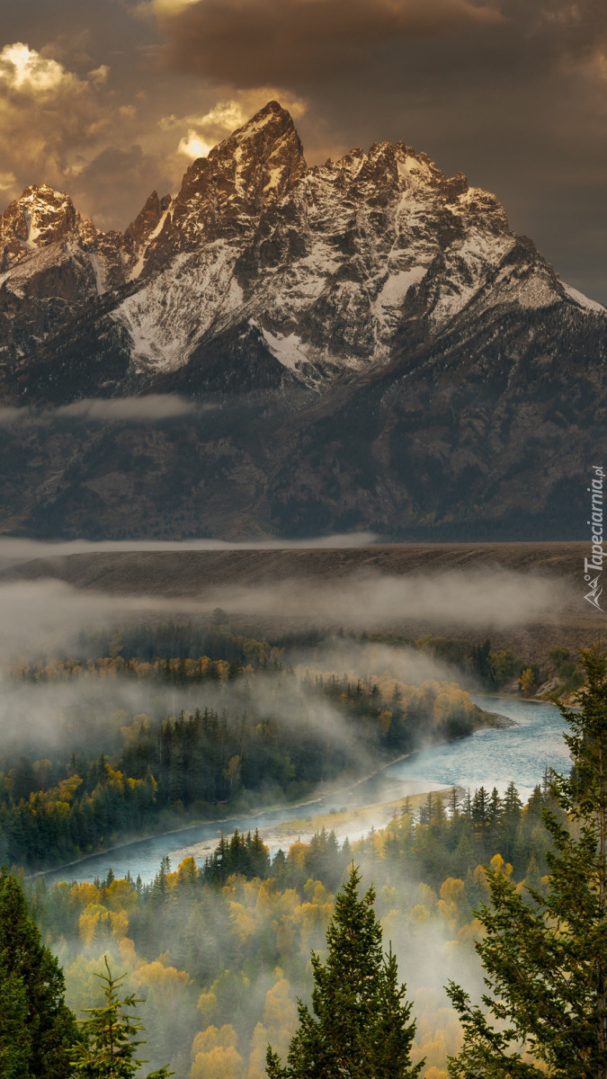 Góry Teton Range i zamglone drzewa nad rzeką