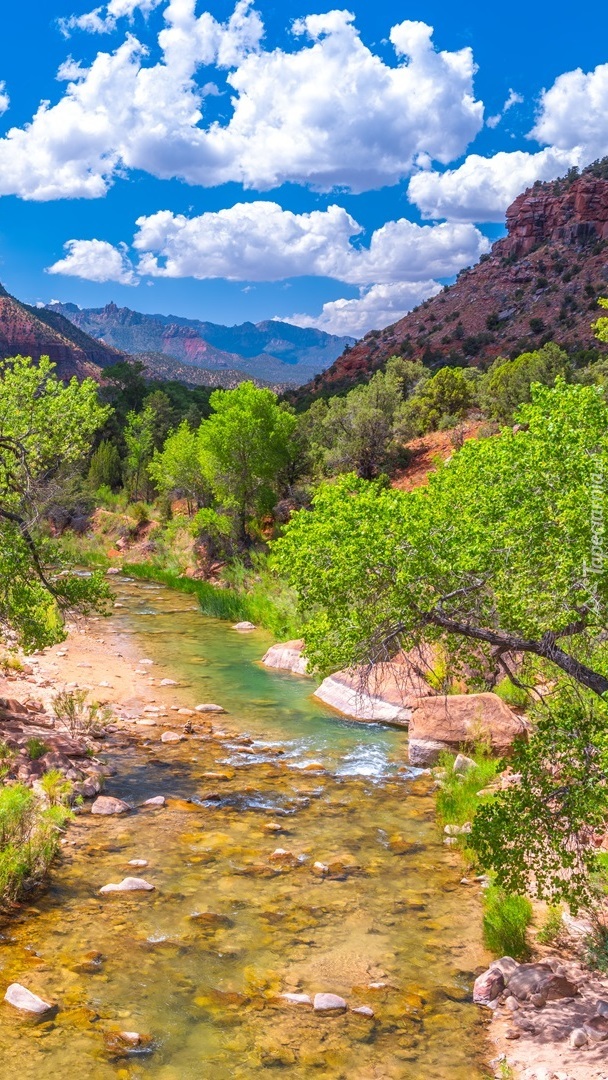 Góry Watchman i rzeka Virgin River