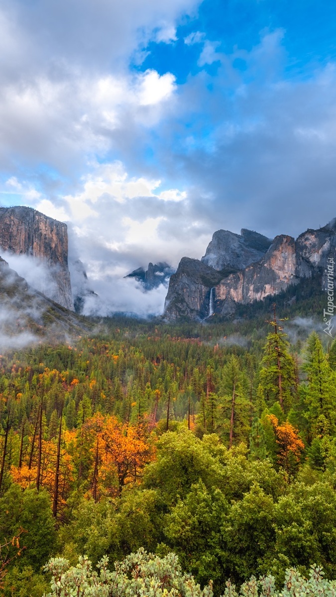 Góry Yosemite Valley we mgle