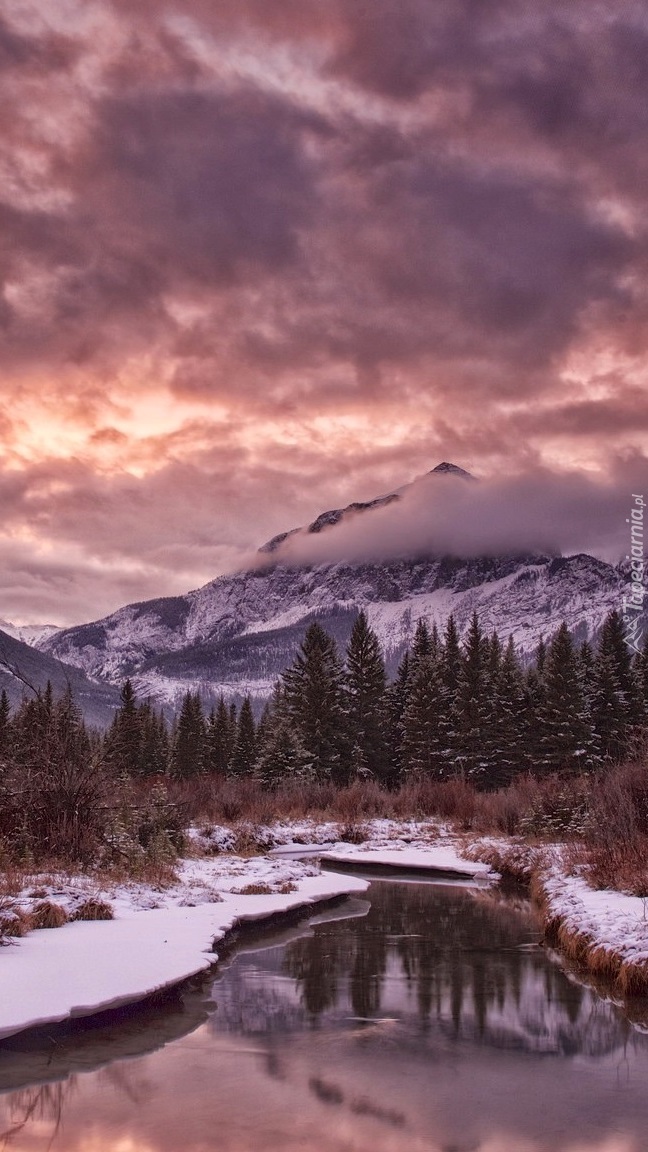 Góry z lasem i zimową rzeką w Kanadzie