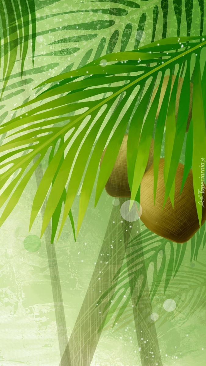 Graficzna palma z kokosami