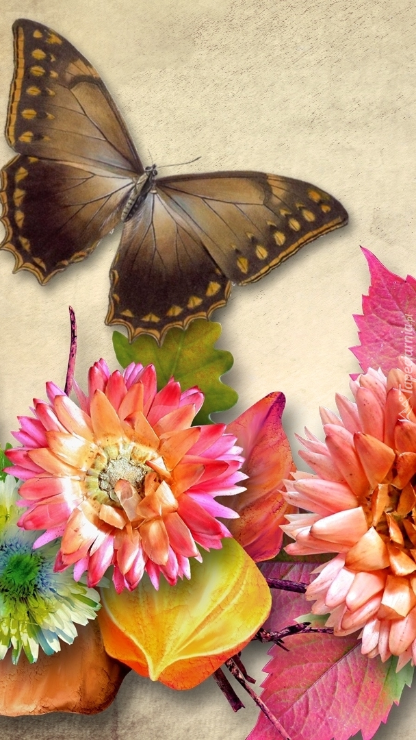 Graficzne liście i kwiaty z motylem