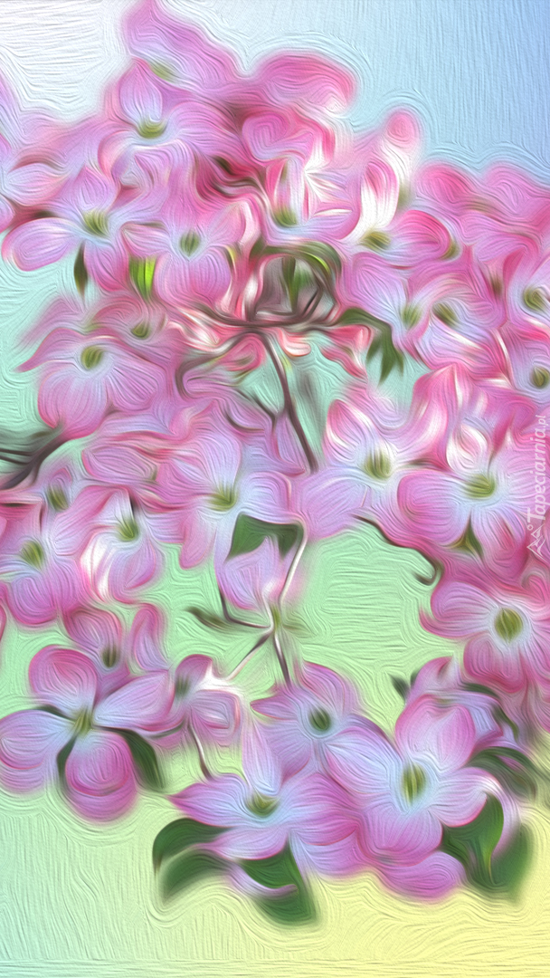Graficzne różowe kwiaty