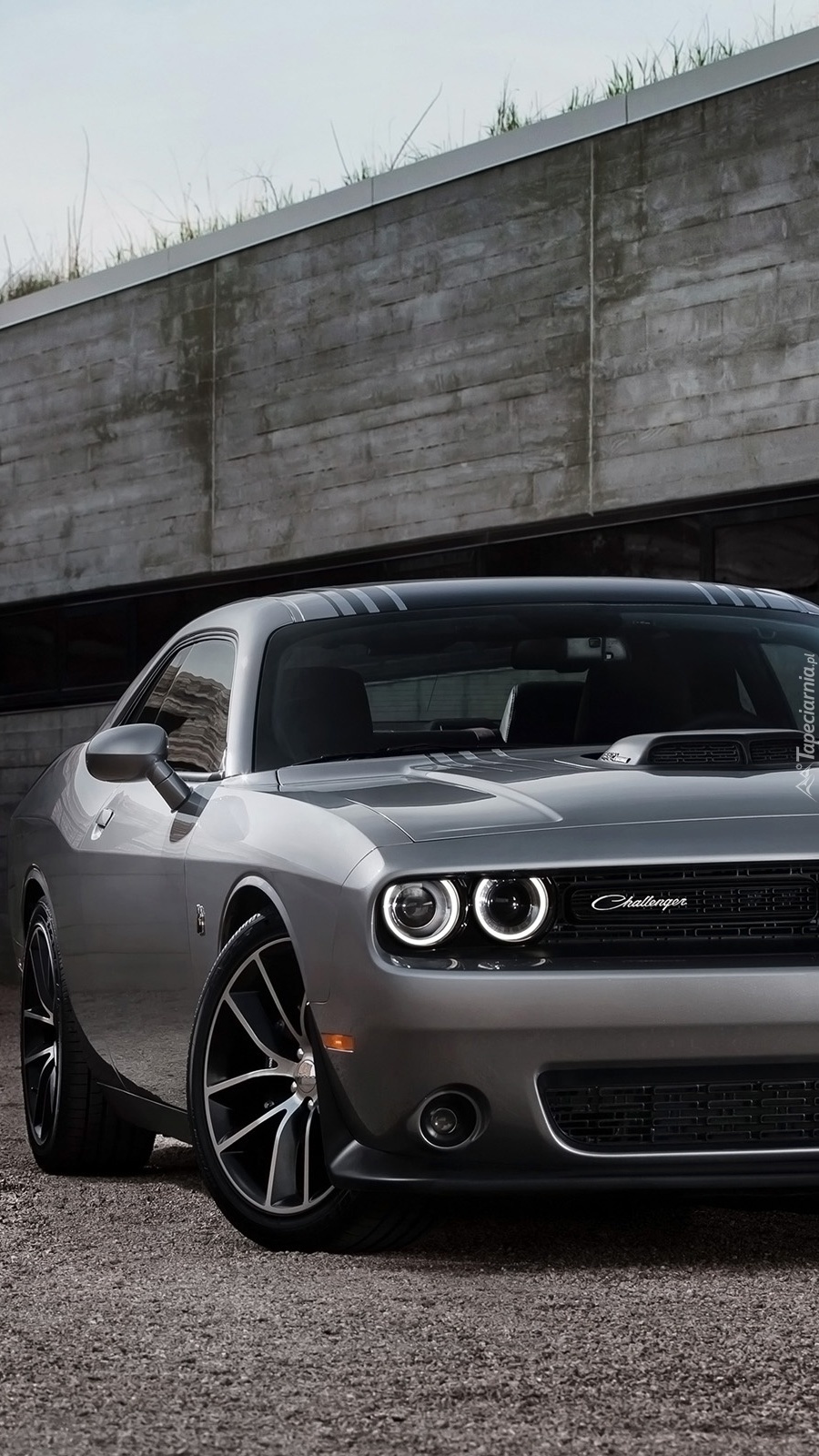 Grafitowy Dodge Challenger