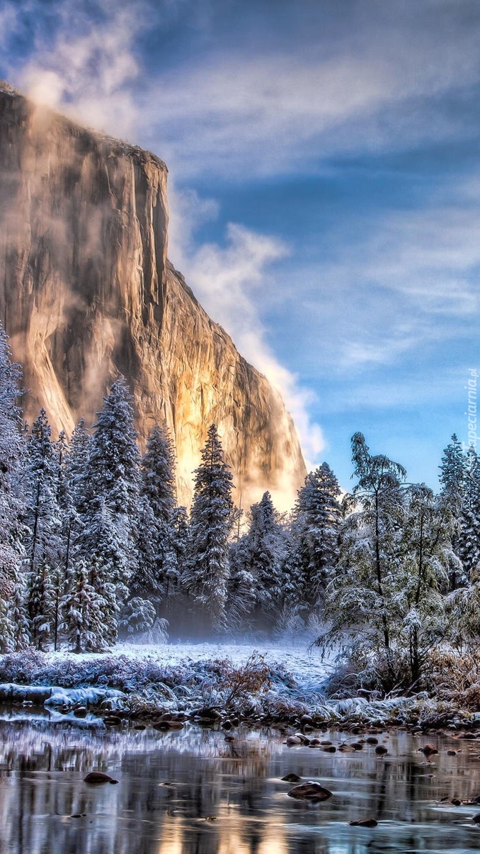 Half Dome w Parku Narodowym Yosemite