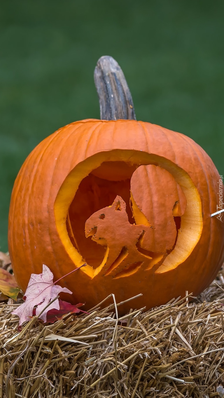 Halloween na wesoło