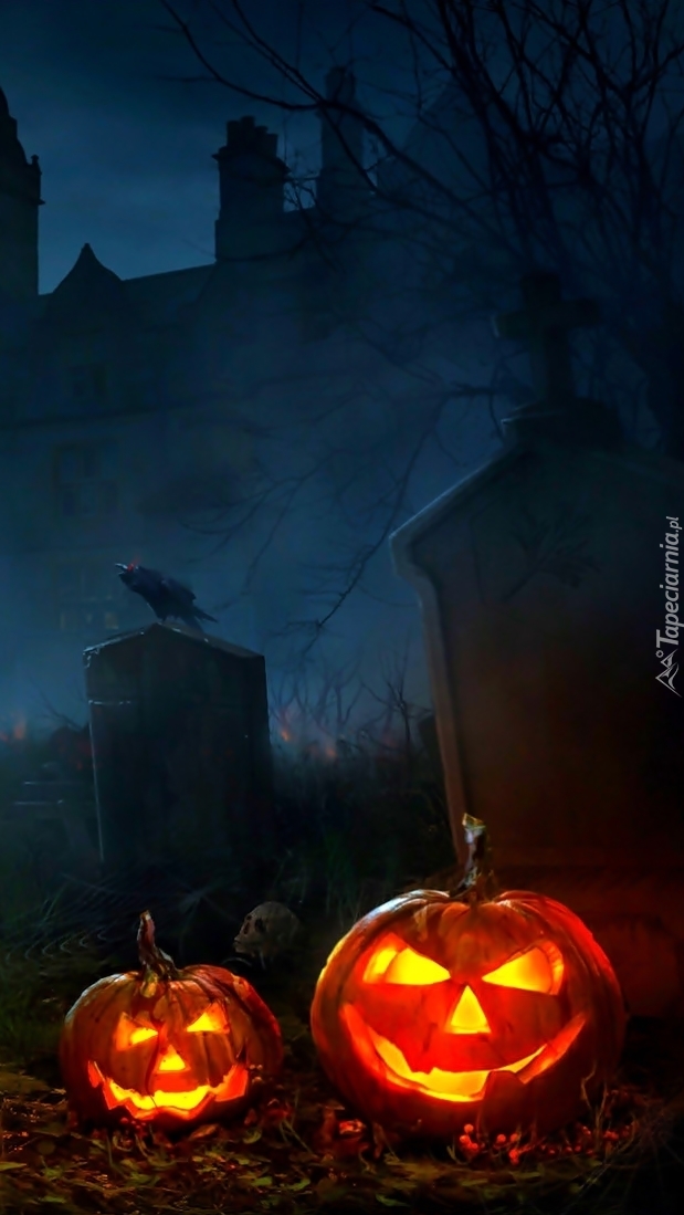 Halloweenowa noc