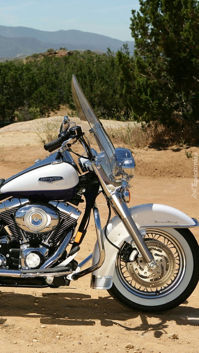 Harley-Davidson Road King