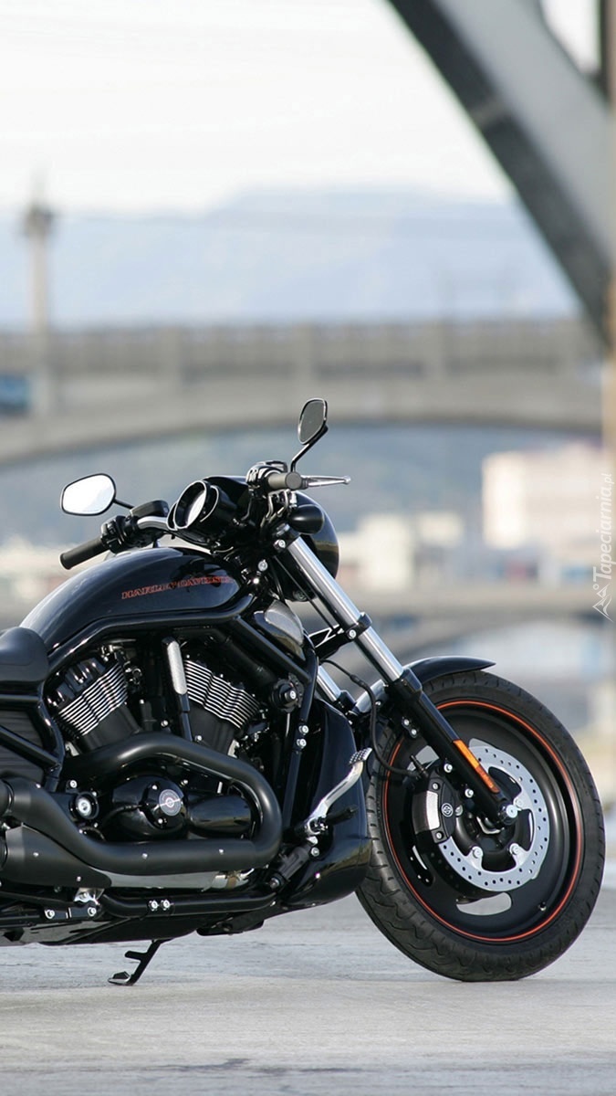 Harley-Davidson VRSC