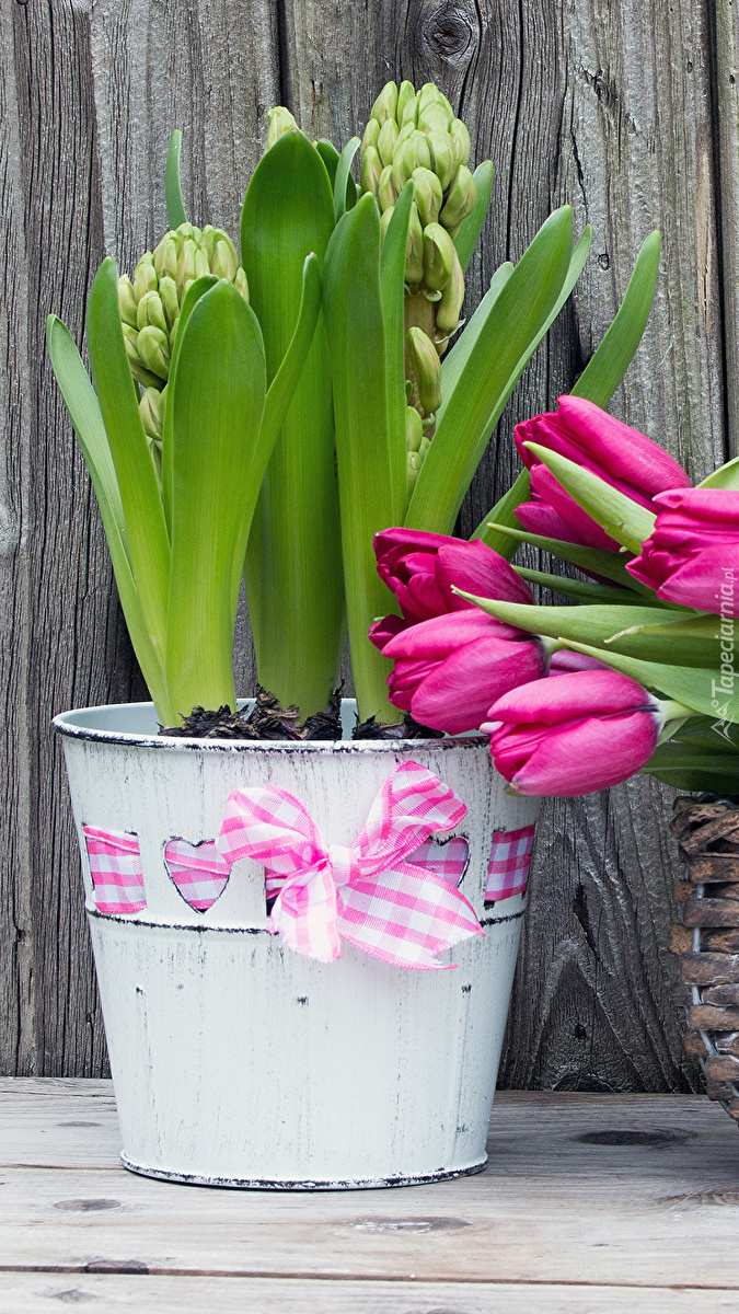 Hiacynty i tulipany