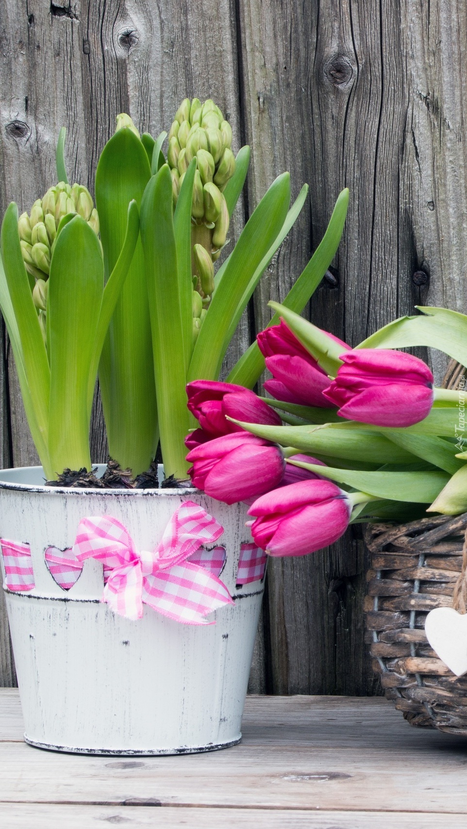 Hiacynty w donicy obok tulipanów