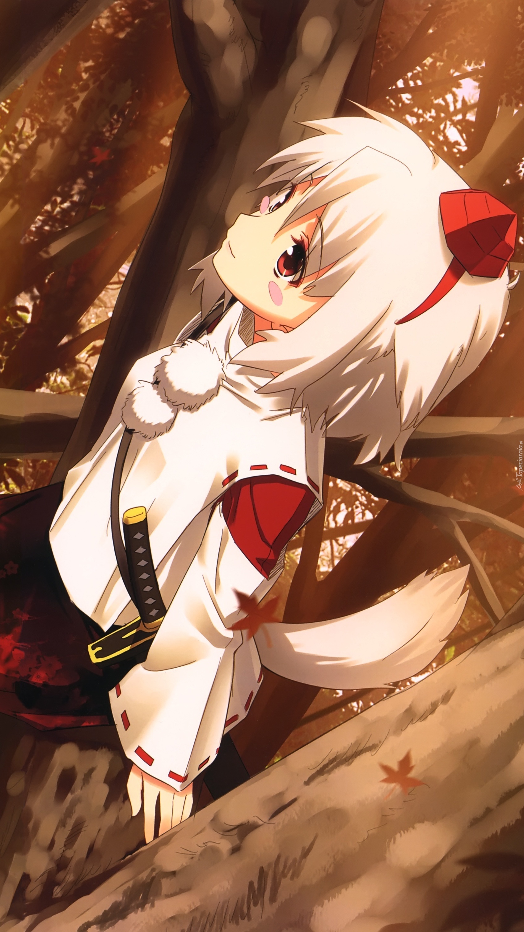 Inubashiri Momiji