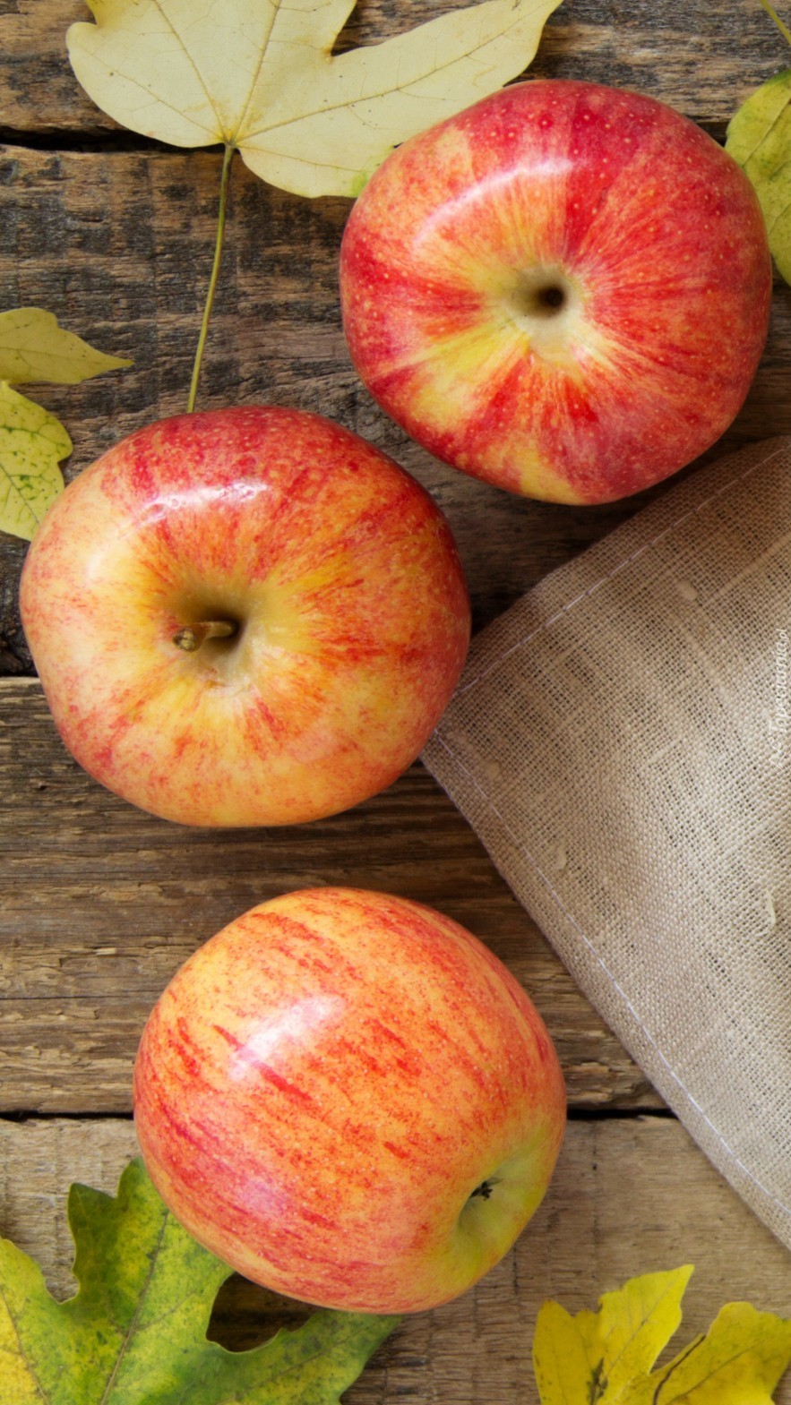 Jabłka i liście na deskach