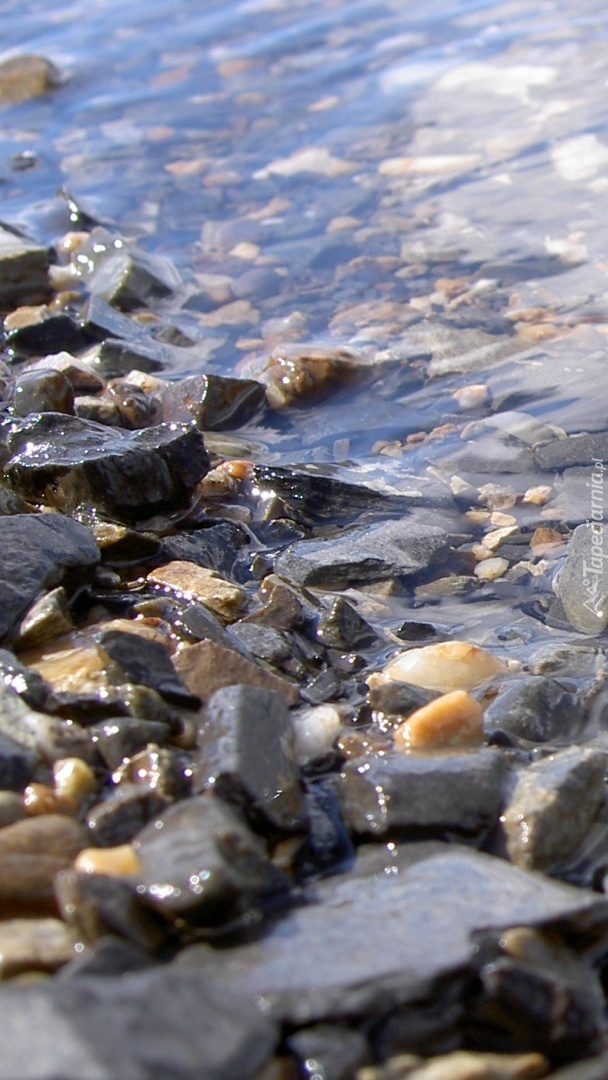 Jaka przejrzysta woda na tym kamienistym brzegu