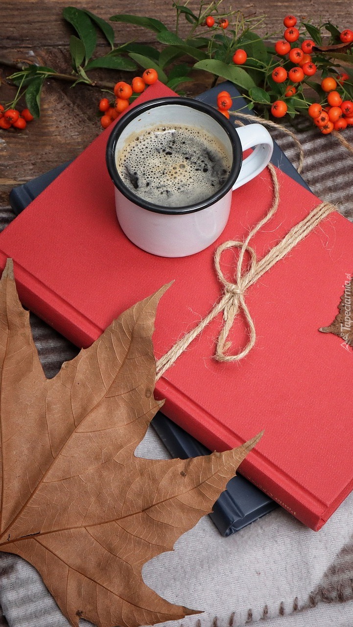 Jarzębina obok kubka z kawą na książce