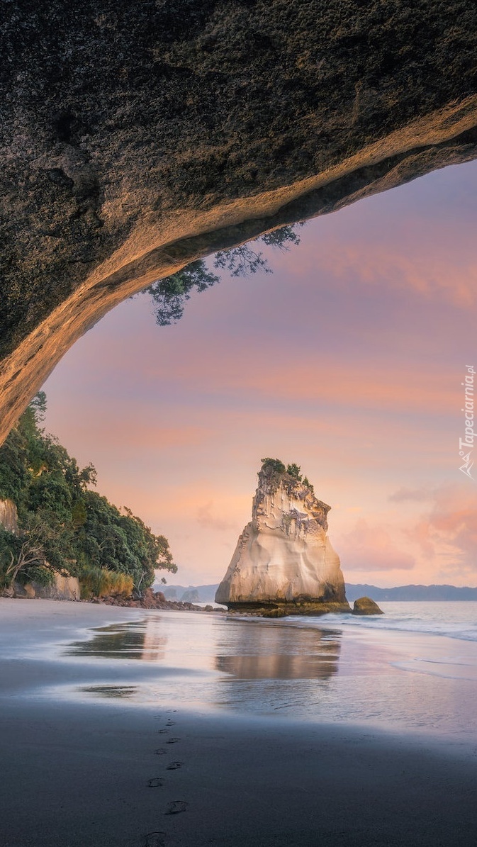 Jaskinia Cathedral Cove nad wybrzeżem