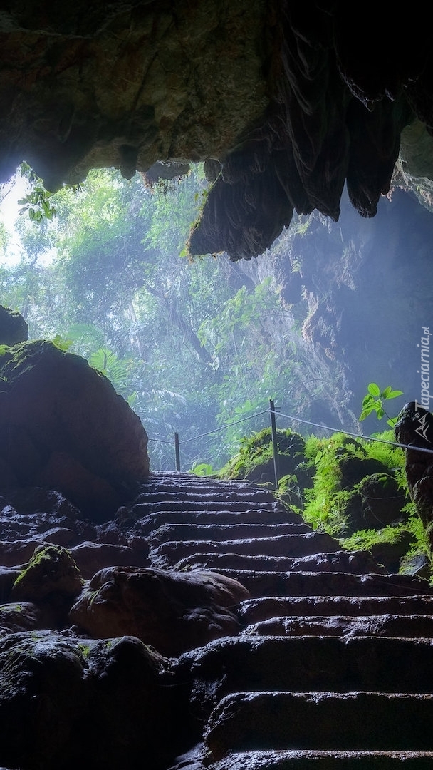 Jaskinia Hermans Cave