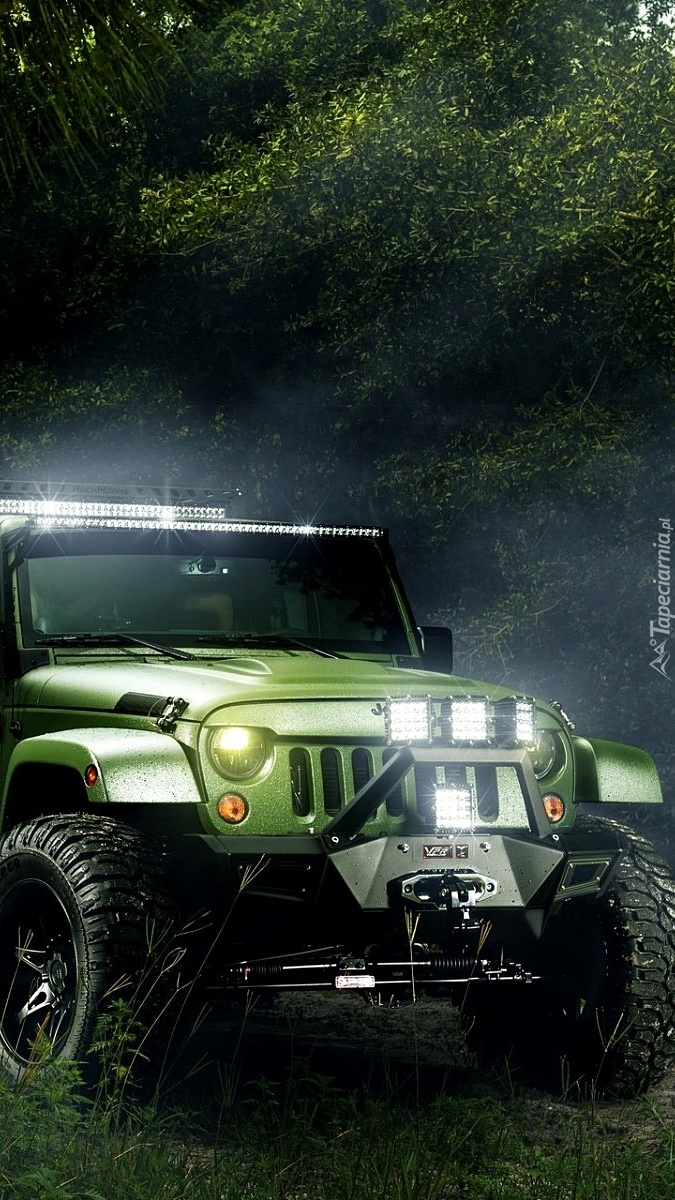 Jeep zaparkowany w lesie
