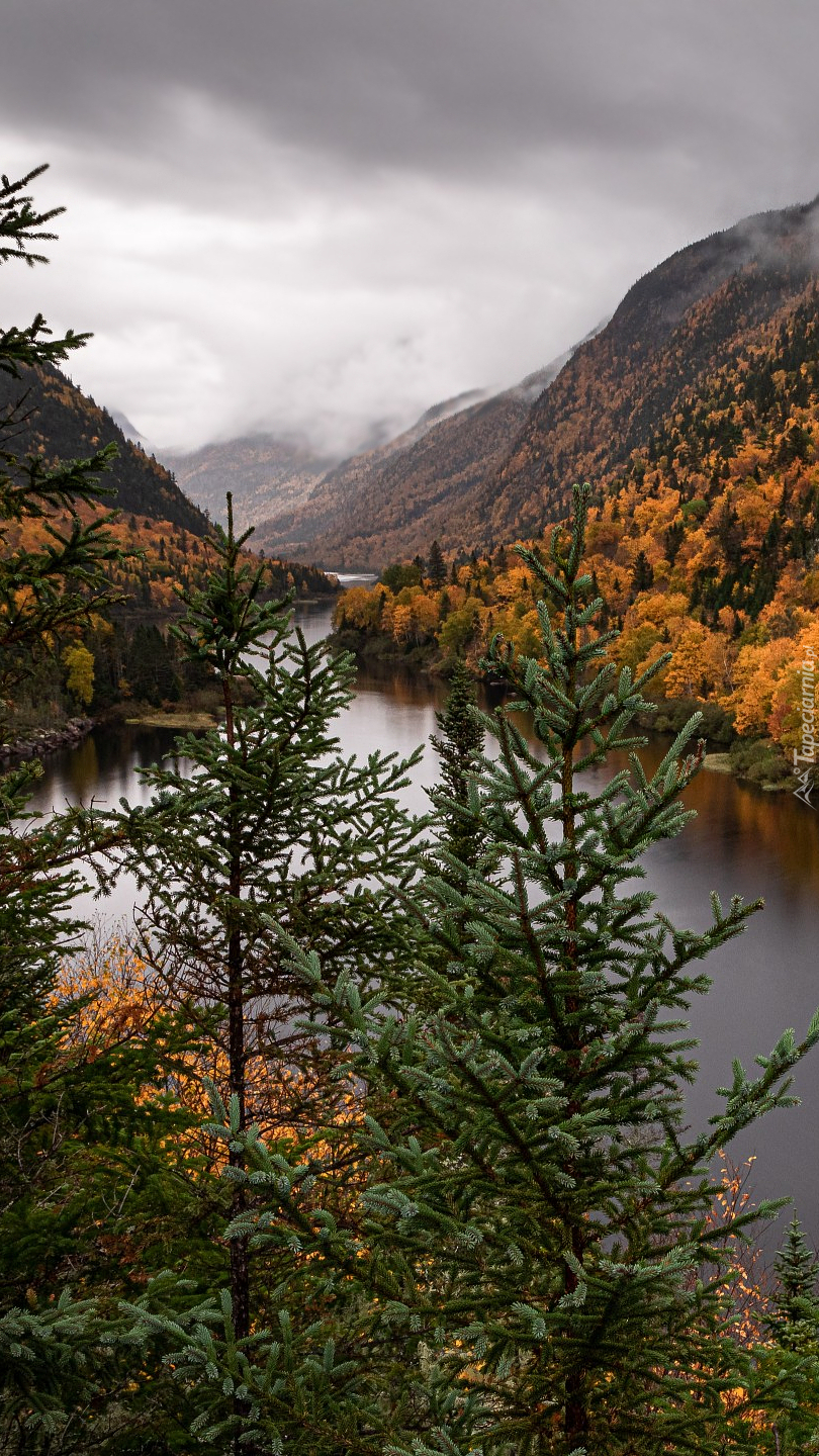 Jesień na rzeką Malbaie River