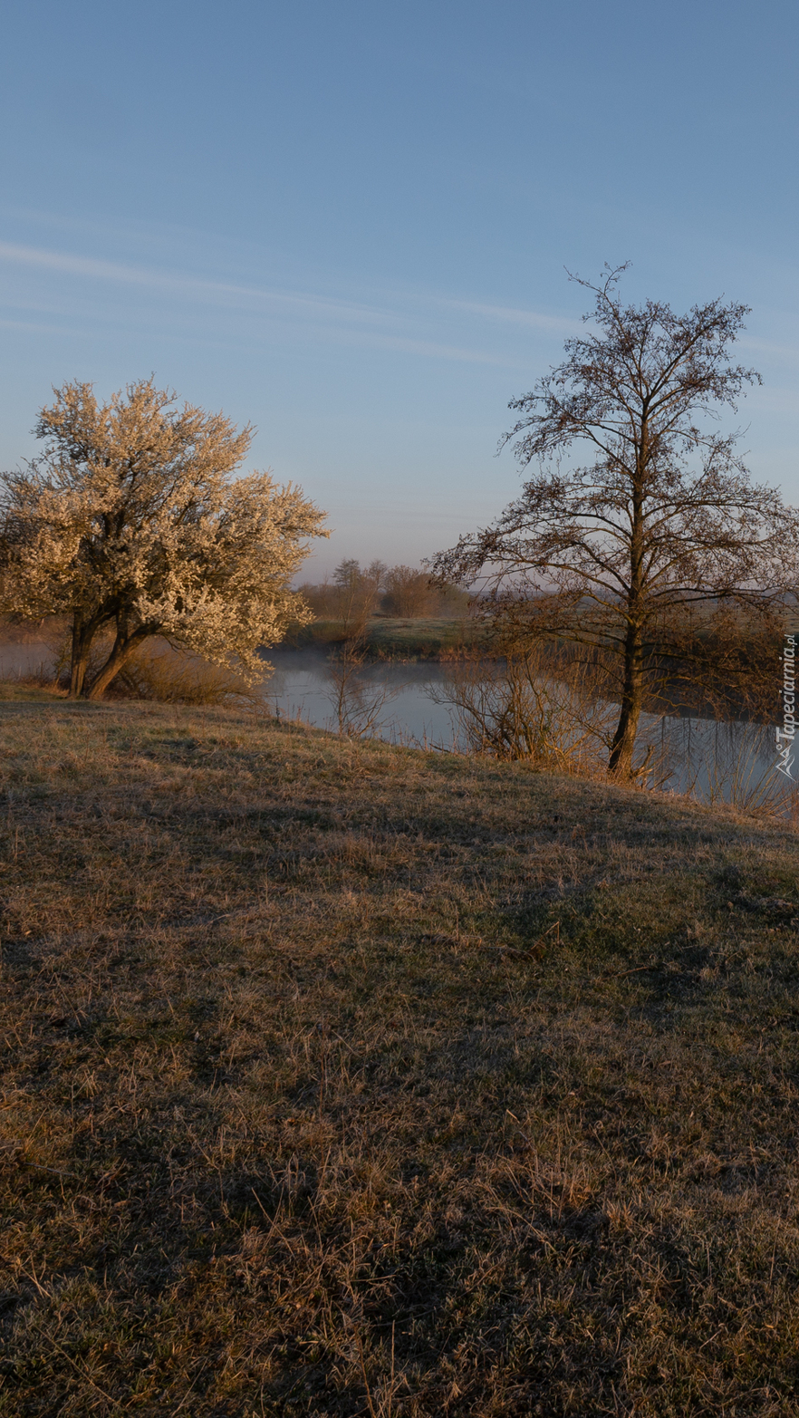 Jesień nad rzeką