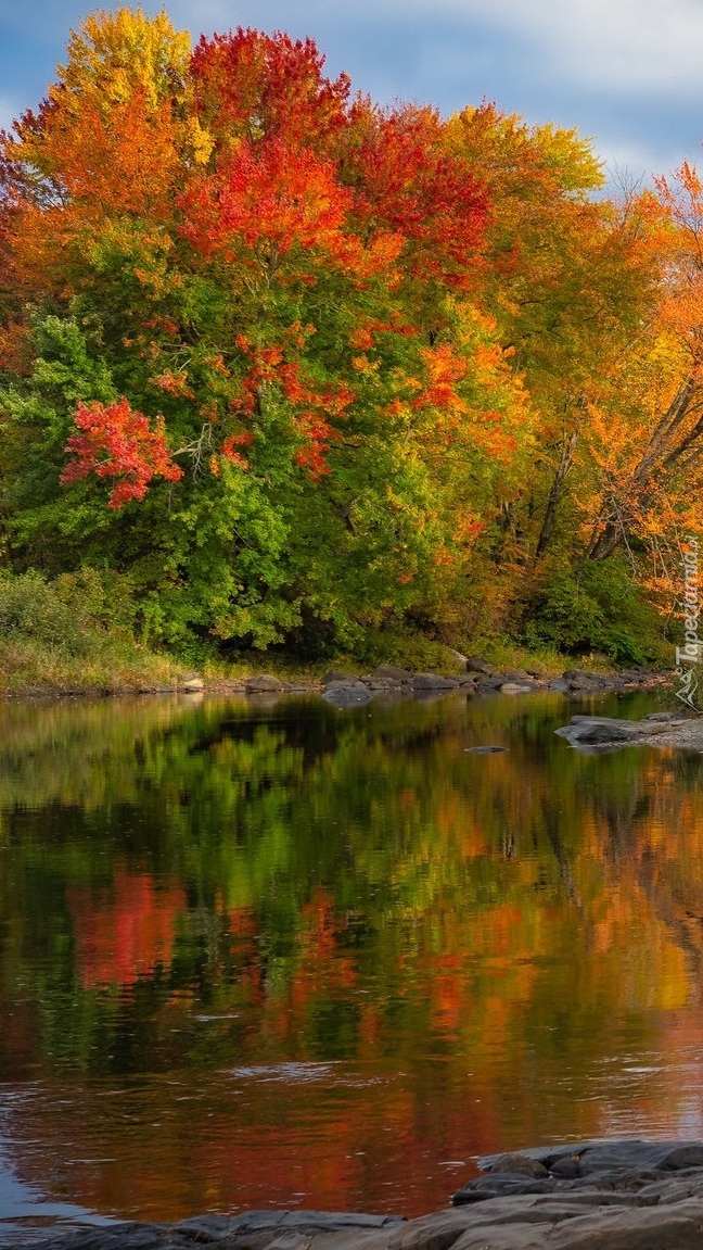 Jesień nad rzeką