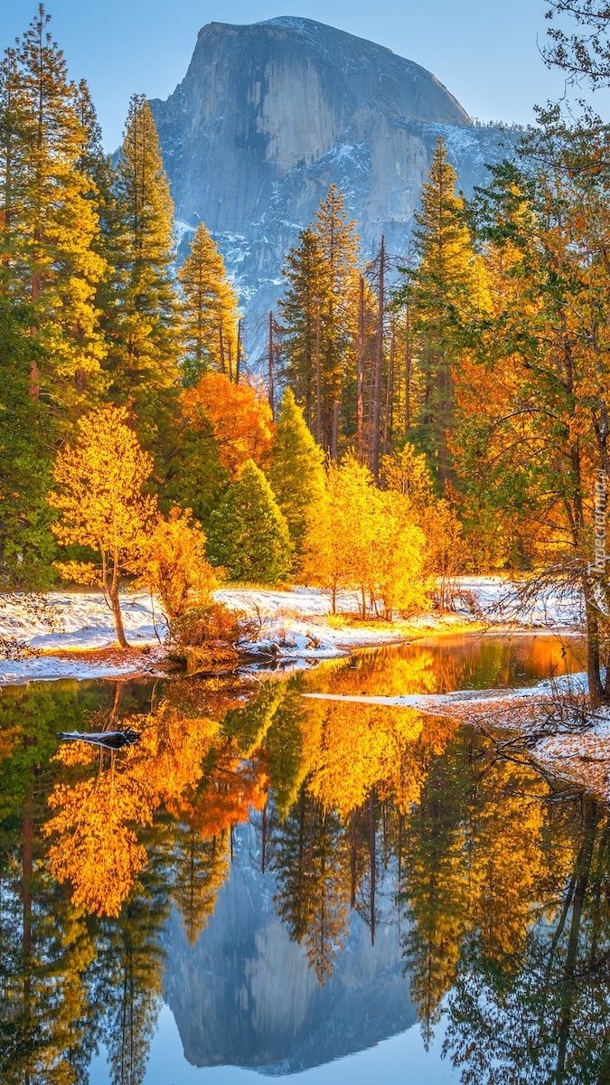 Jesień nad rzeką Merced River