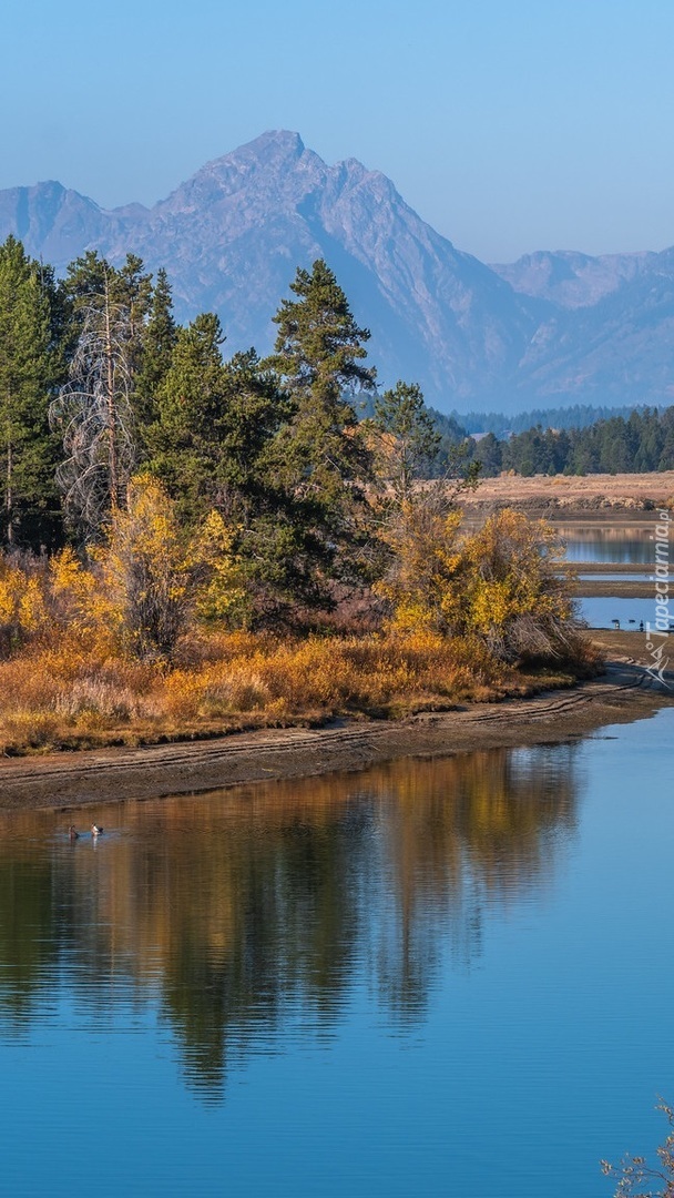 Jesień nad rzeką Snake River