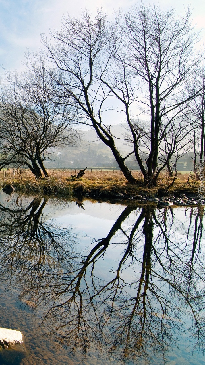 Jesień nad rzeką