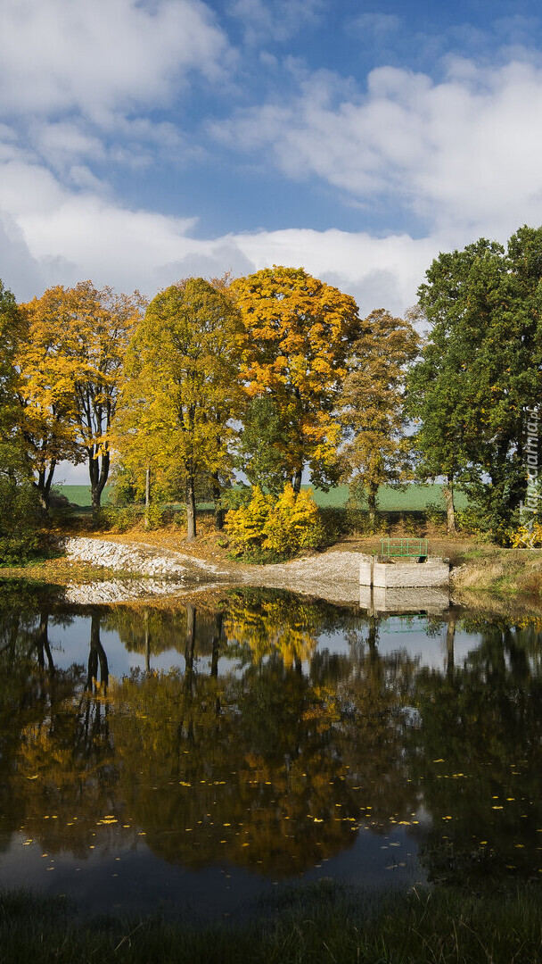 Jesień nad stawem