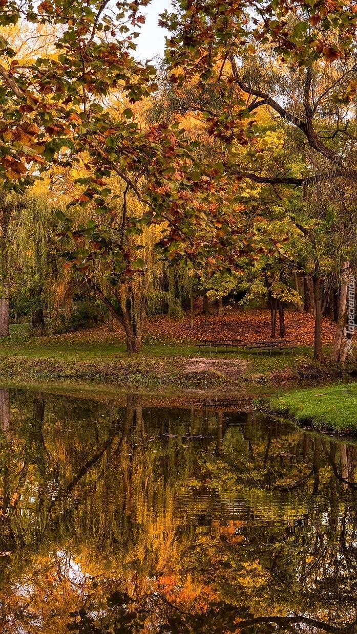 Jesień nad stawem w parku