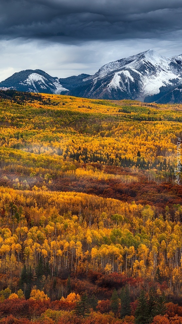 Jesień w górach Rocky Mountains
