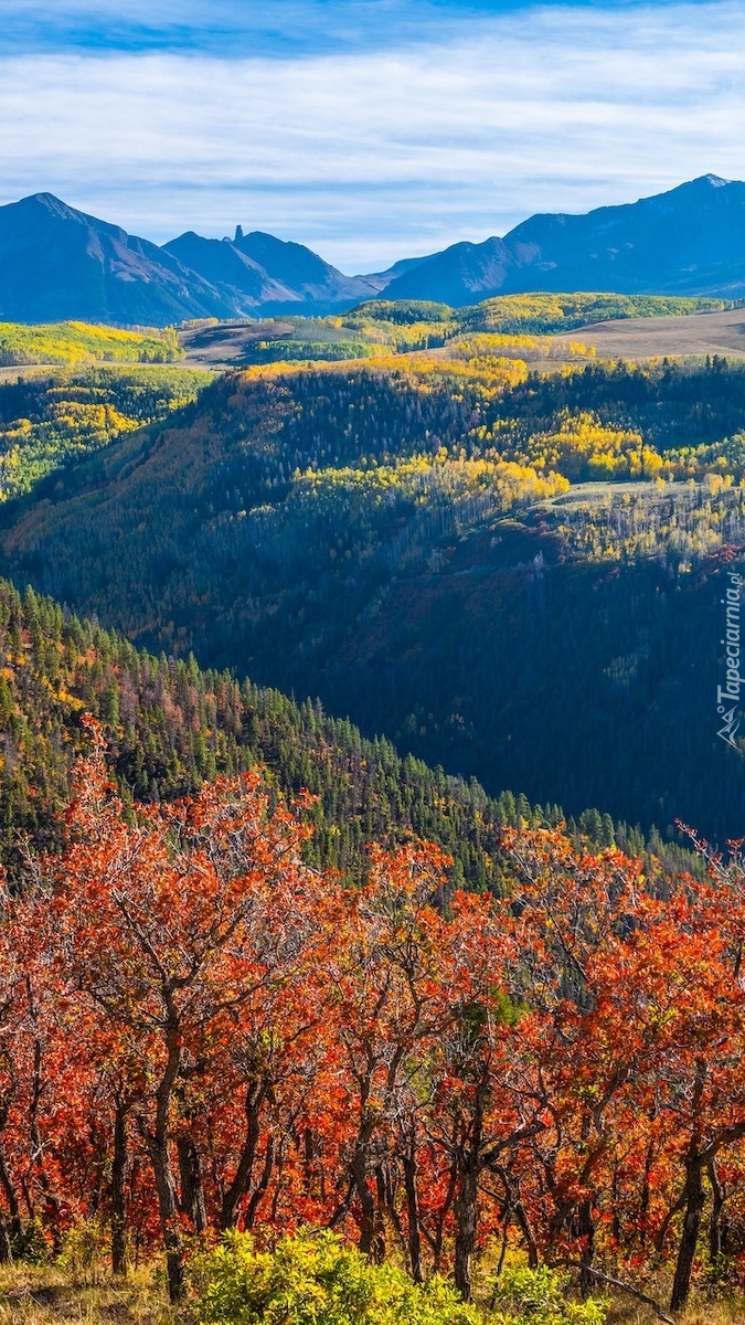 Jesień w górach San Juan Mountains