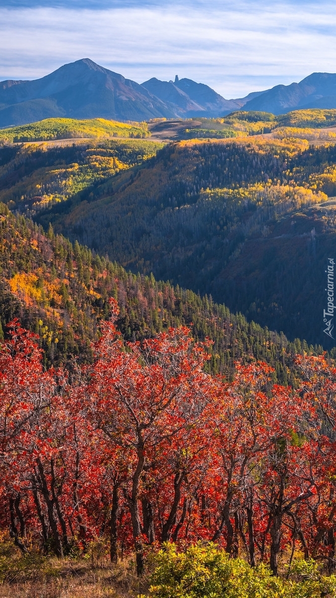 Jesień w górach San Juan Mountains