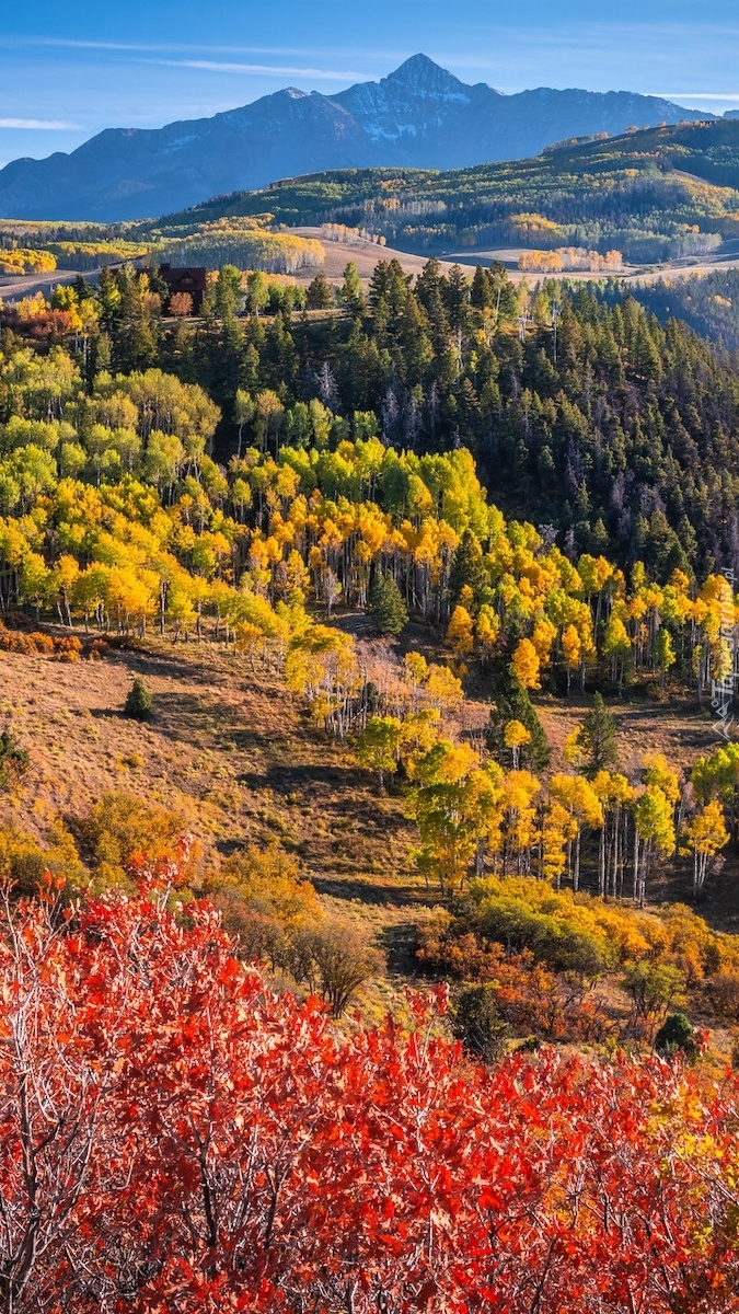 Jesień w górach San Juan Mountains w Kolorado
