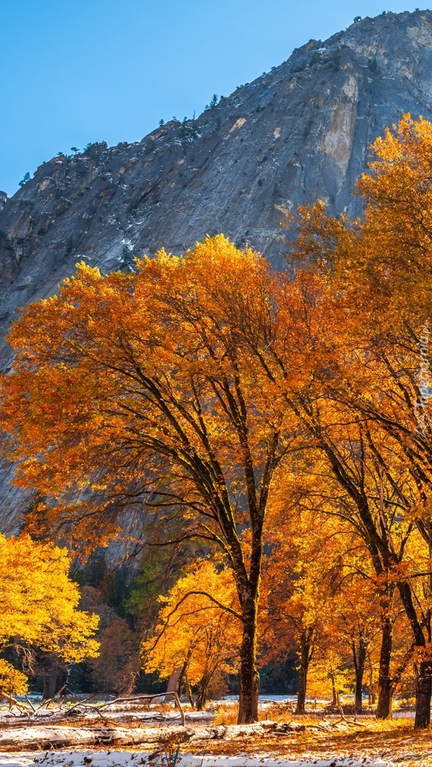 Jesień w Parku Narodowym Yosemite