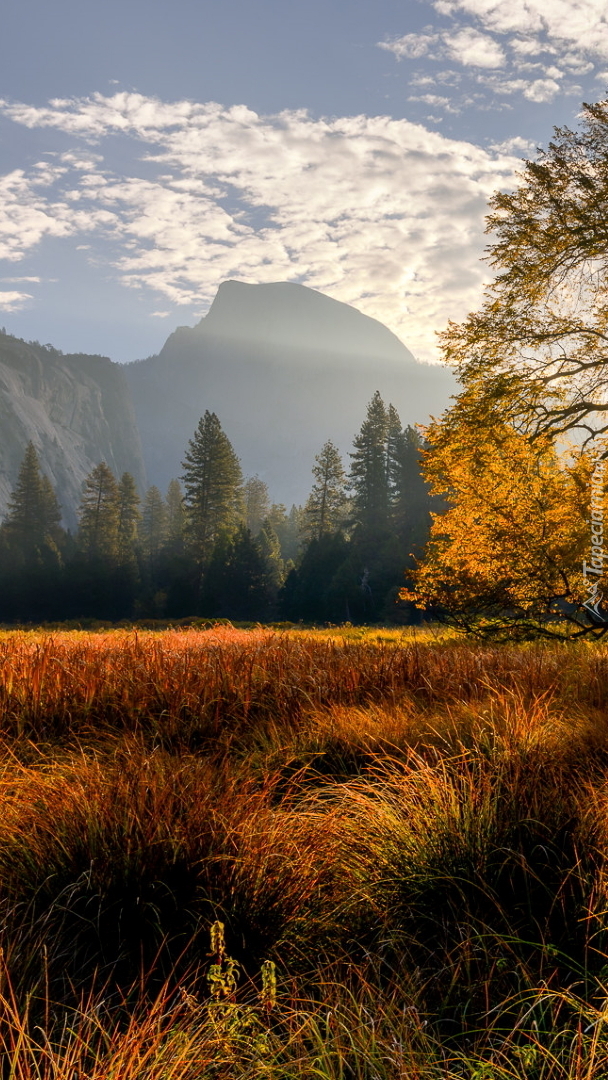 Jesień w Parku Narodowym Yosemite