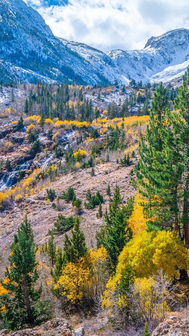 Jesień w wąwozie Lundy Canyon