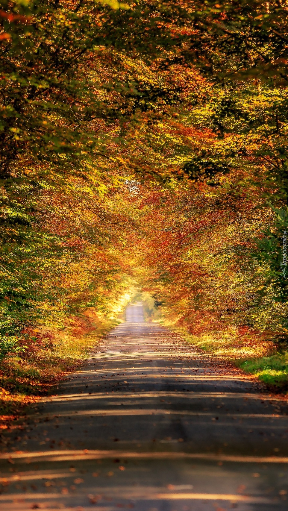 Jesienna droga w Bretanii
