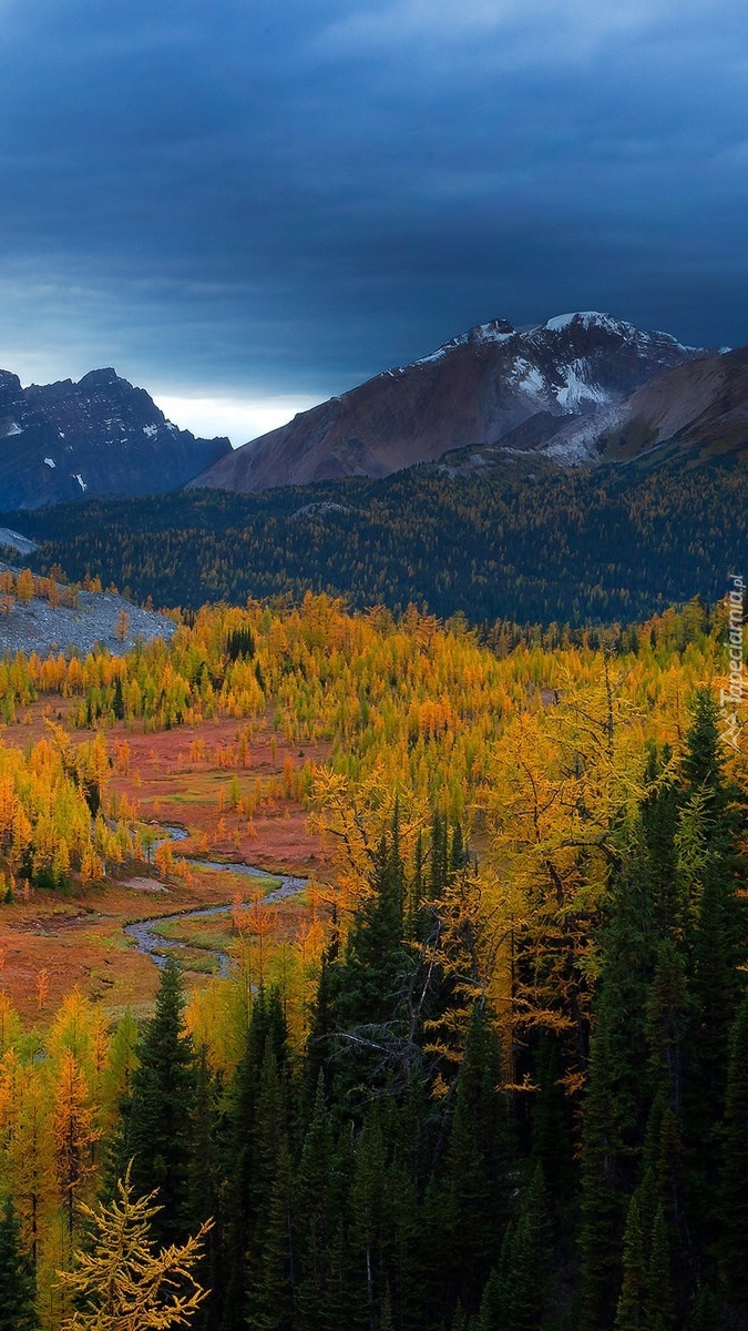 Jesienna rzeka pośród gór