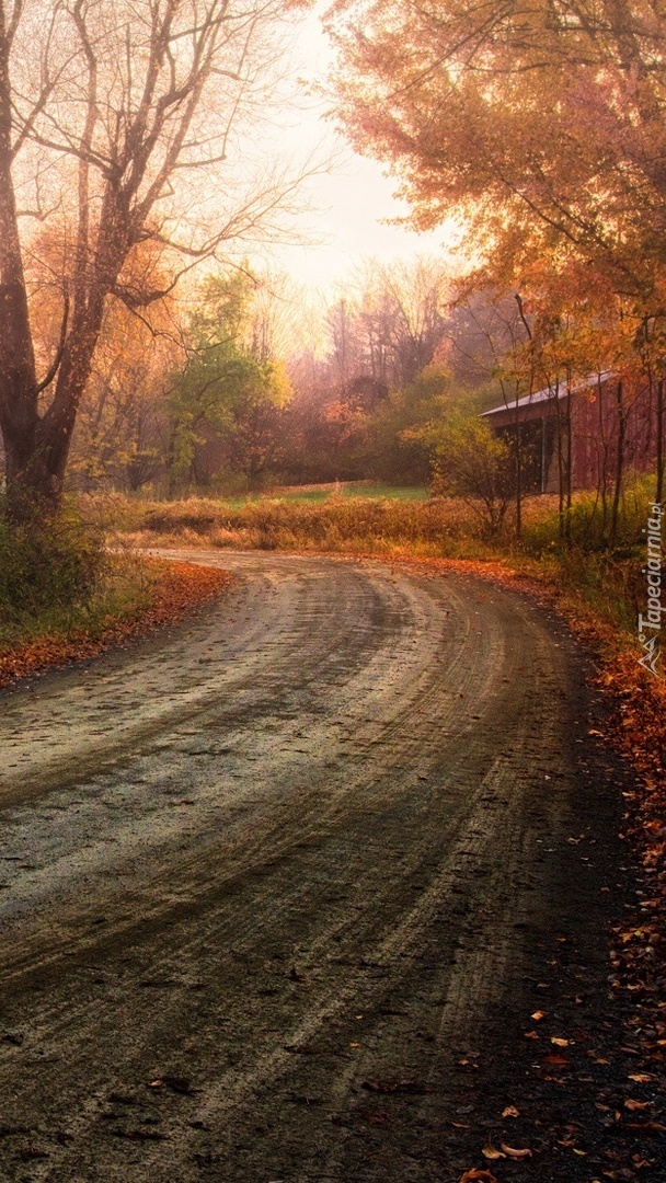 Jesienna wiejska droga