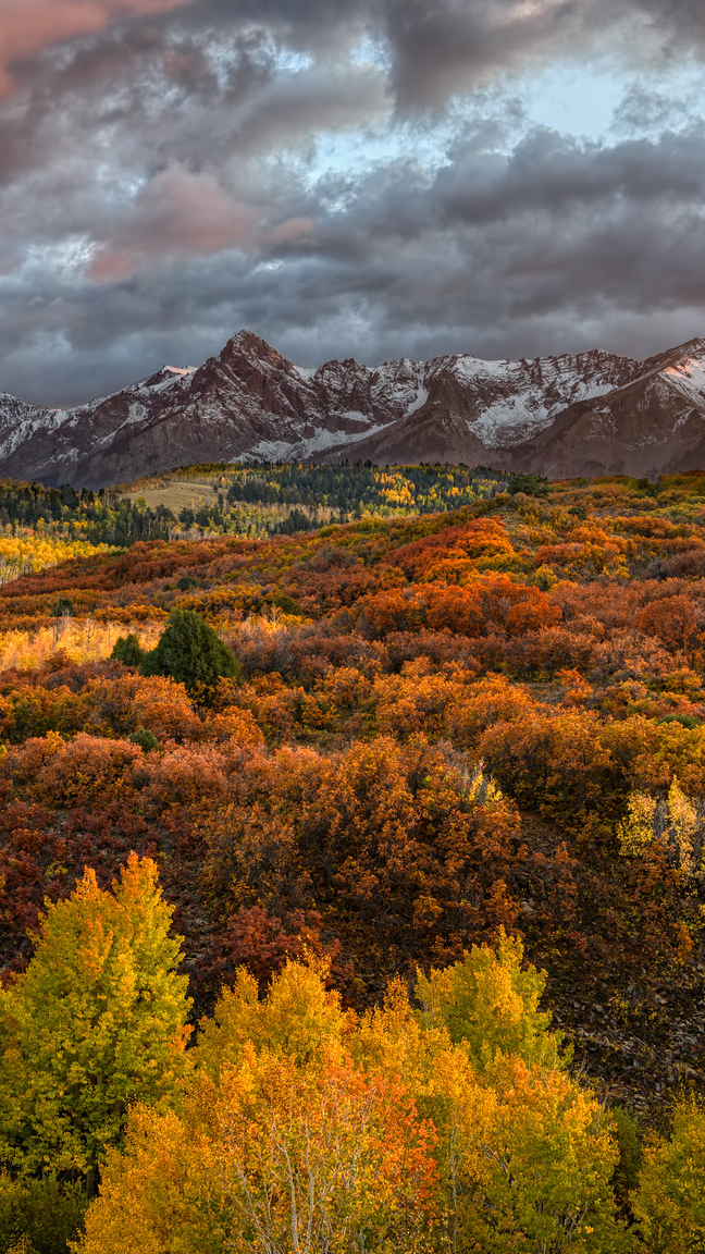 Jesienne drzewa i góry San Juan Mountains pod ciemnymi chmurami