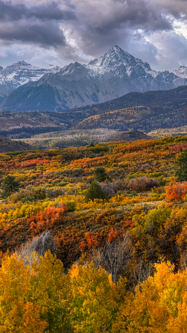 Jesienne drzewa i skaliste góry San Juan Mountains w Kolorado