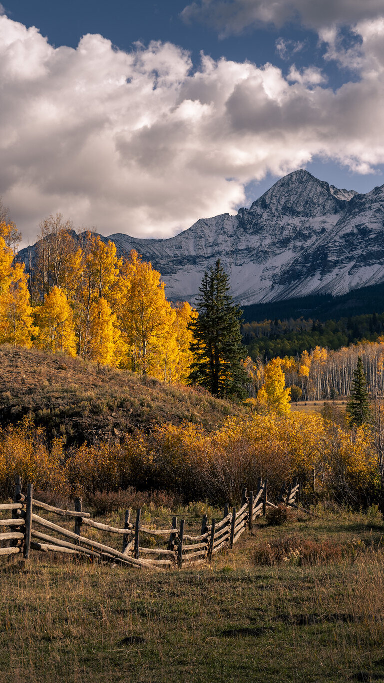 Jesienne drzewa na tle gór San Juan Mountains